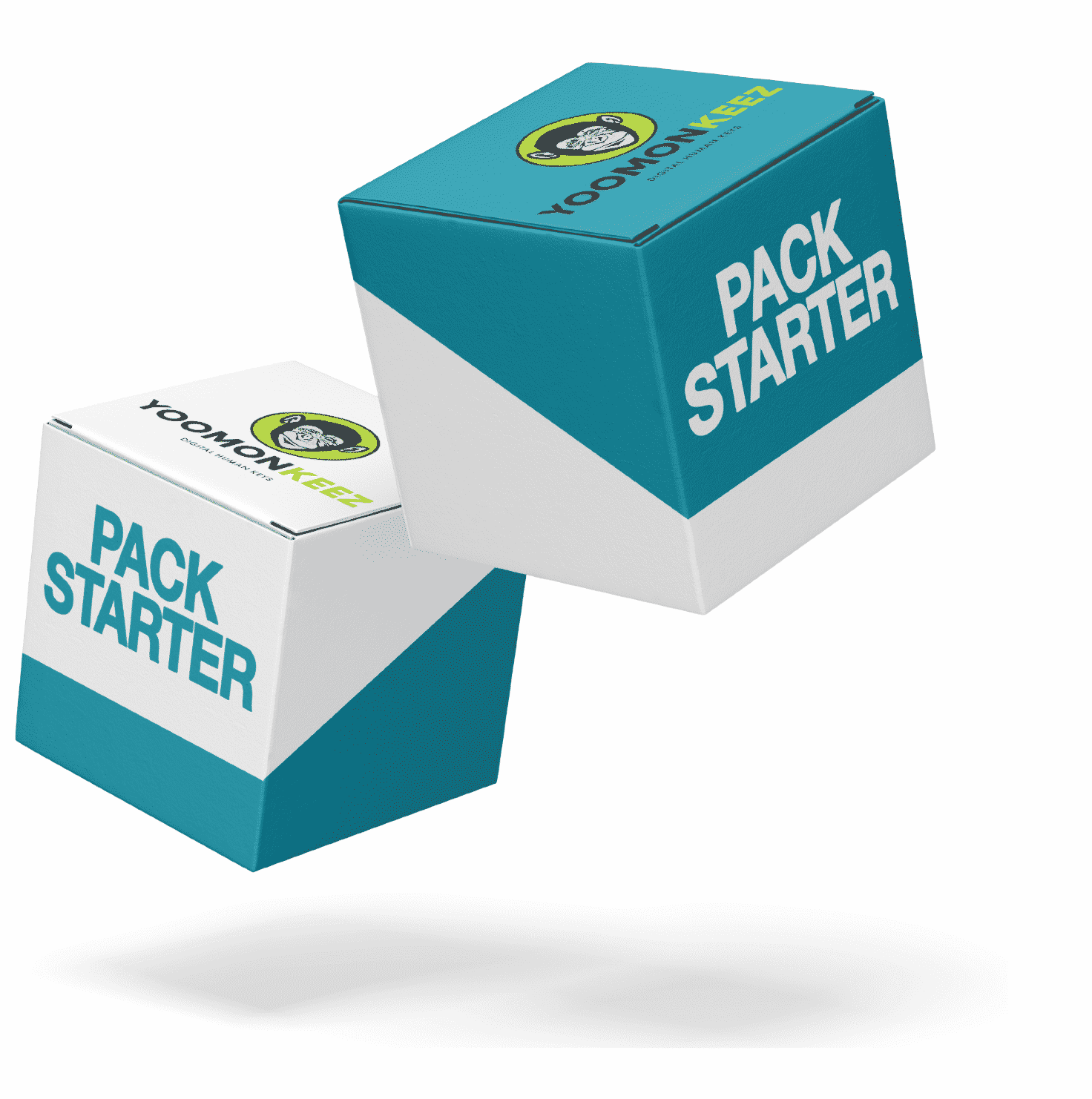 Pack Starter Microlearning