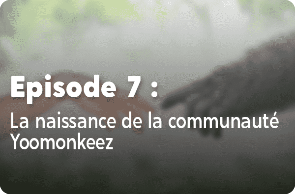 Notre histoire - Episode #7 - La naissance de la communauté Yoomonkeez