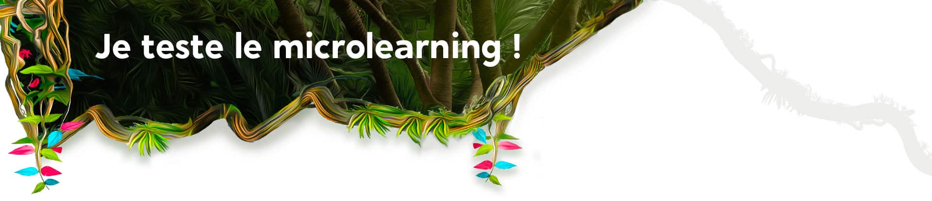 Test microlearning