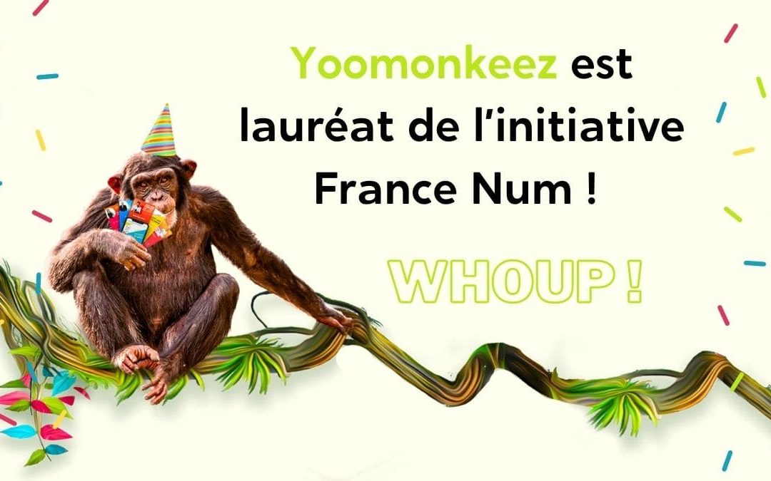 Yoomonkeez est lauréat de l’initiative France Num