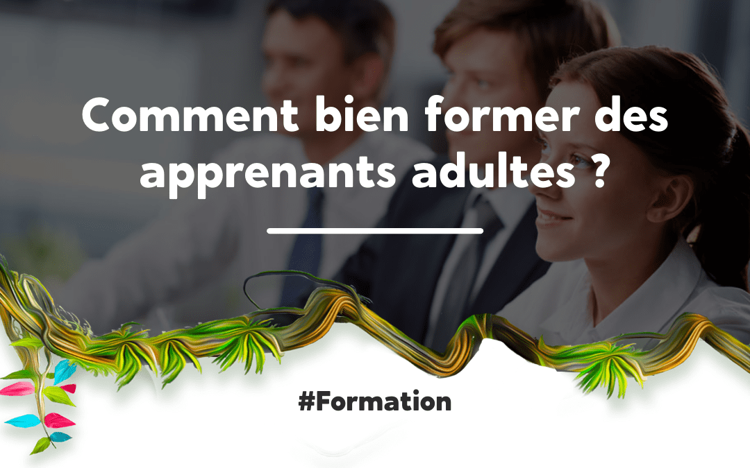 Former des apprenants adultes